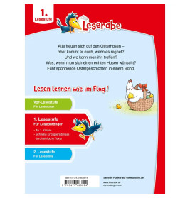 Die schönsten Leseraben-Ostergeschichten - lesen lernen mit dem Leseraben - Erstlesebuch - Kinderbuc