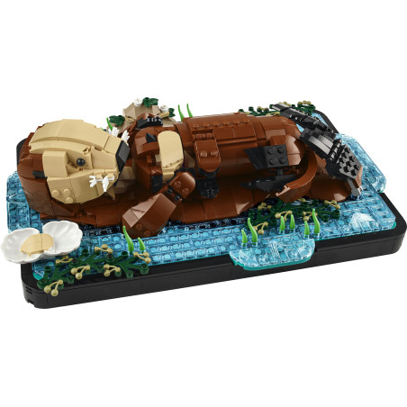 LEGO Ideas 21366 Seeotter mit Baby | Detailverliebtes Ausstellungsstück & Geschenk für Tierliebhaber