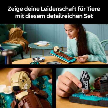 LEGO Ideas 21366 Seeotter mit Baby | Detailverliebtes Ausstellungsstück & Geschenk für Tierliebhaber