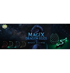 MagiX Dragon Eggs Night Eclipse