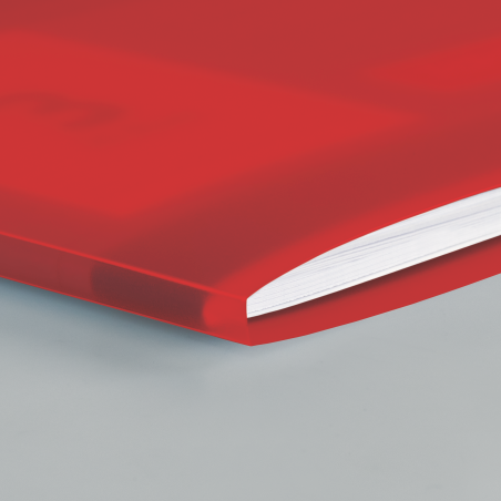 Hefthülle A4 FACT!pp rot mit Namenschild