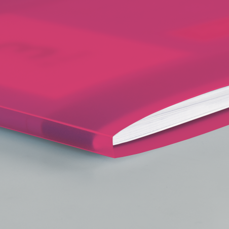 Hefthülle A4 FACT!pp pink mit Namenschild