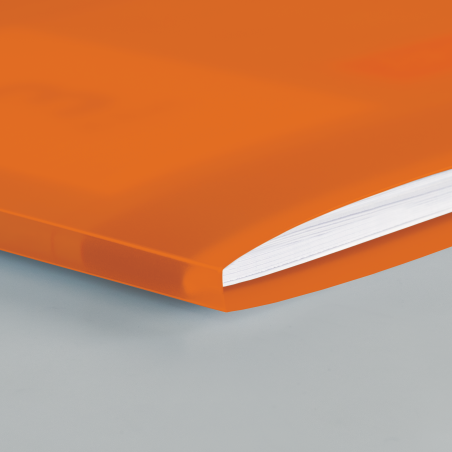Hefthülle A4 FACT!pp orange mit Namenschild