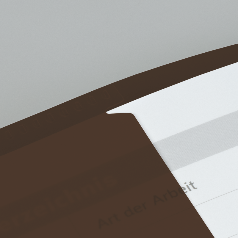 Hefthülle A4 FACT!pp braun mit Namenschild