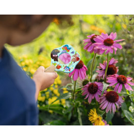 Mein Zaubergarten Kleine Lupen