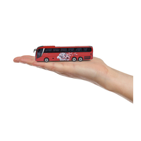 City MAN Bus, 6-fach sortiert