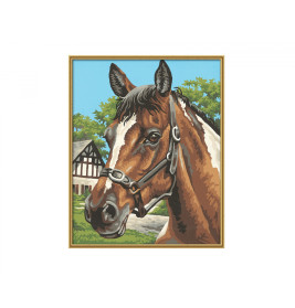Schipper Malen nach Zahlen – Pferdeportrait 24x30 cm | Meisterklasse Serie | Für Kinder & Erwachsene
