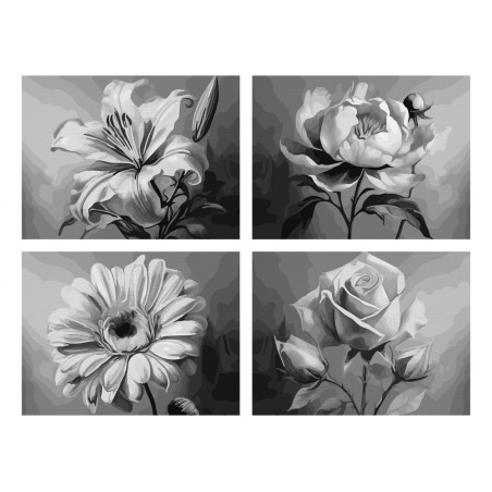 Schipper Malen nach Zahlen Blumenvielfalt Quattro – Farbenfrohe Blütenpracht | MNZ Set