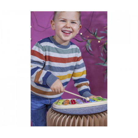 Eichhorn Holz Xylophon 8 Töne für Kinder inklusive Liederbuch – Musikalische Früherziehung