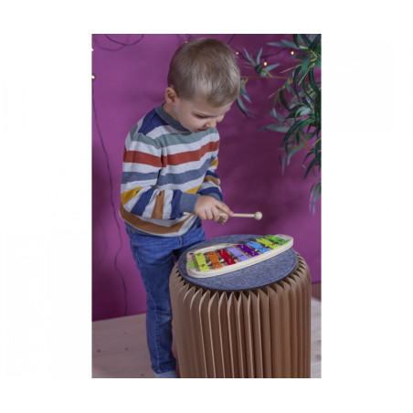 Eichhorn Holz Xylophon 8 Töne für Kinder inklusive Liederbuch – Musikalische Früherziehung