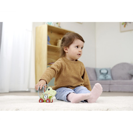 Eichhorn Schiebefrosch aus Holz – Motorikspielzeug für Kinder ab 1 Jahr