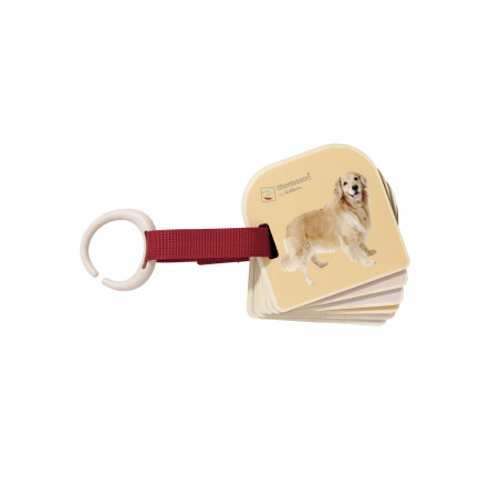Tier-Flashcards mit rotem Band und Plastikring, oben ist ein Golden Retriever abgebildet.