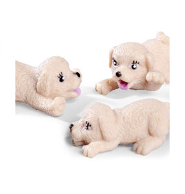 Evi Love Puppy Doctor Set: Tierarztpraxis mit Evi Puppe für Kinder (3+)