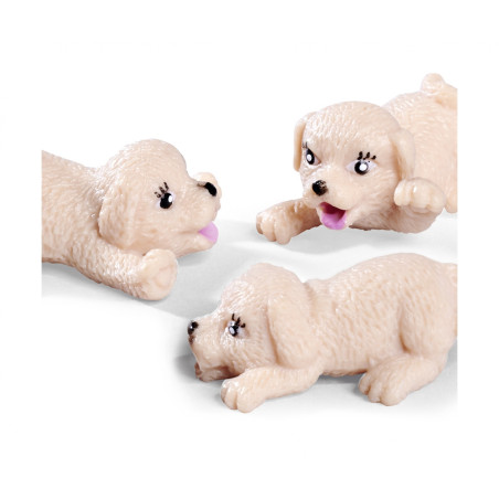 Evi Love Puppy Doctor Set: Tierarztpraxis mit Evi Puppe für Kinder (3+)