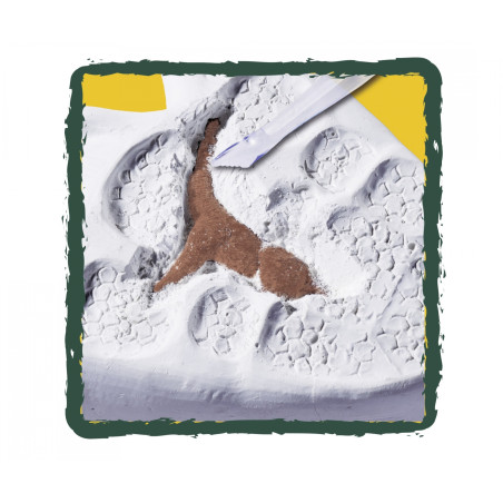 Dinosaurier zum Ausgraben, 6-sort.