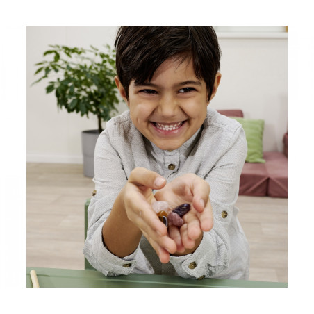 Simba Scout Mineralien Ausgrabungs-Set – Werde Archäologe & entdecke Schätze (109452661)