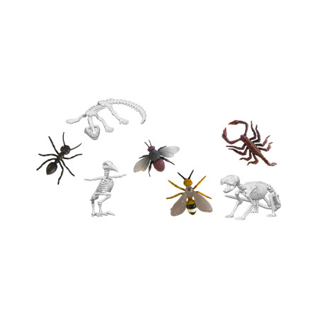 Scout Dissect-It Discovery