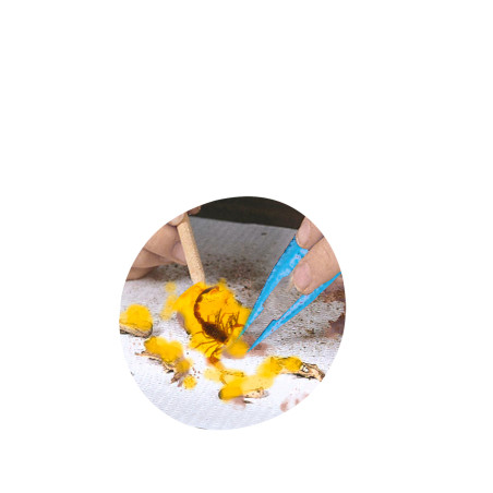 Scout Dissect-It Discovery