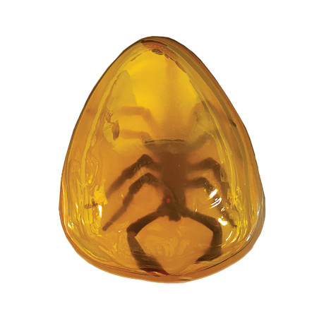 Scout Dissect-It Discovery