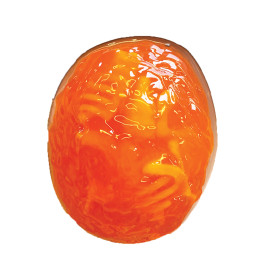 Scout Dissect-It Discovery