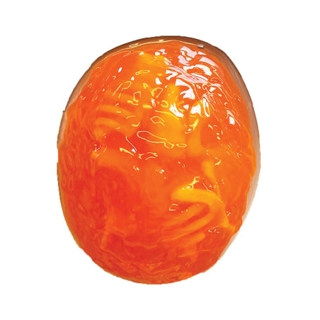 Scout Dissect-It Discovery