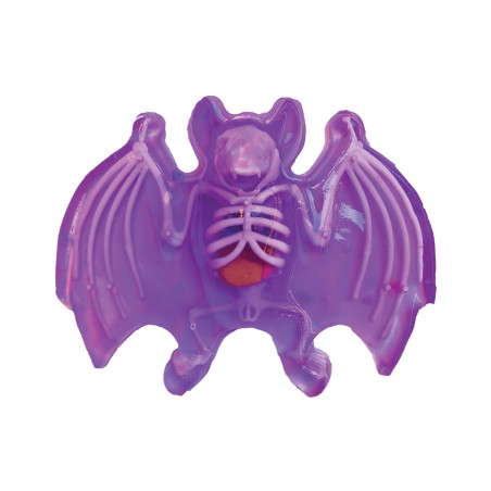 Simba Scout Dissect-It Mini Labor – Tierfreundliches Anatomie Experiment für Kinder