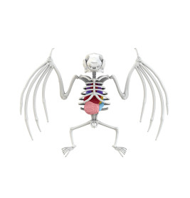 Simba Scout Dissect-It Mini Labor – Tierfreundliches Anatomie Experiment für Kinder