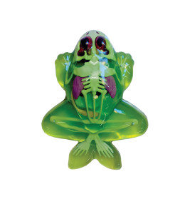 Simba Scout Dissect-It Mini Labor – Tierfreundliches Anatomie Experiment für Kinder