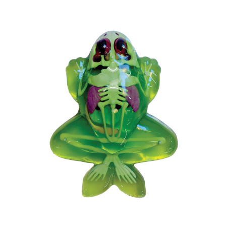 Simba Scout Dissect-It Mini Labor – Tierfreundliches Anatomie Experiment für Kinder