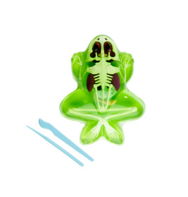 Simba Scout Dissect-It Frosch – Anatomie spielerisch erkunden & lernen