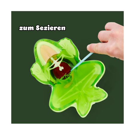 Simba Scout Dissect-It Frosch – Anatomie spielerisch erkunden & lernen
