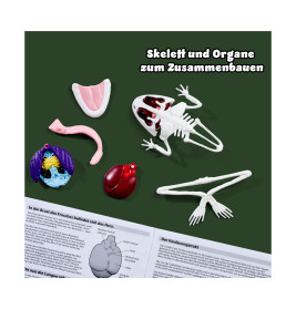 Simba Scout Dissect-It Frosch – Anatomie spielerisch erkunden & lernen