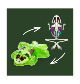 Simba Scout Dissect-It Frosch – Anatomie spielerisch erkunden & lernen