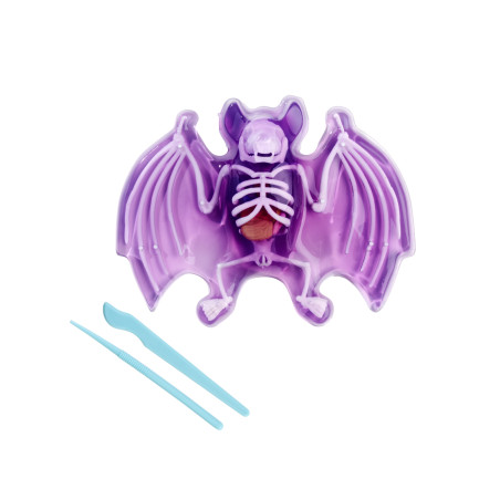 Simba Scout Dissect-It Fledermaus – Anatomie entdecken, freilegen & erforschen