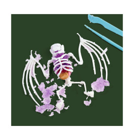 Simba Scout Dissect-It Fledermaus – Anatomie entdecken, freilegen & erforschen