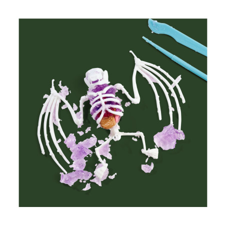 Simba Scout Dissect-It Fledermaus – Anatomie entdecken, freilegen & erforschen