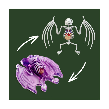 Simba Scout Dissect-It Fledermaus – Anatomie entdecken, freilegen & erforschen