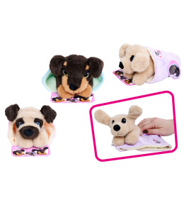 CCL Flappy-Ohr Welpe, 3-fach sortiert