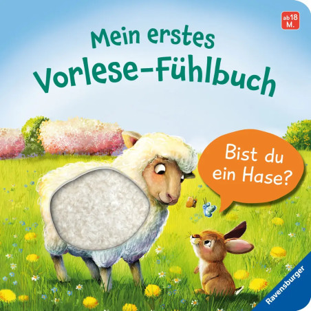 Ein Schaf und ein Hase unterhalten sich auf einer sonnigen Wiese; das Schaf hat fühlbar strukturierte Wolle.