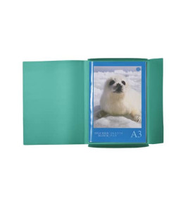 Gummizugmappe A3 PP transluzent dunkelgrün