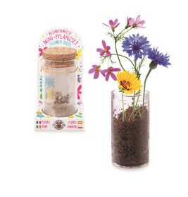 GFH MINI-PFLANZSET BLUMENWIESE
