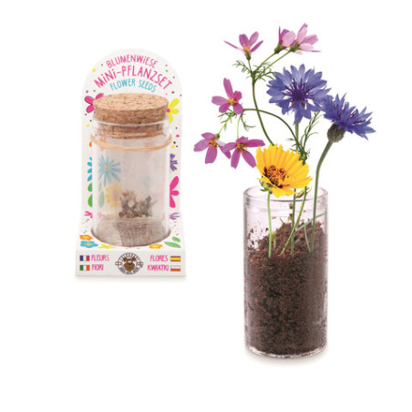 GFH MINI-PFLANZSET BLUMENWIESE