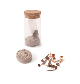 GFH MINI-PFLANZSET BLUMENWIESE