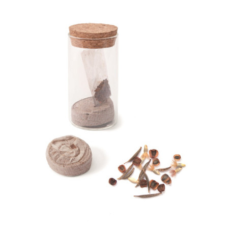 GFH MINI-PFLANZSET BLUMENWIESE