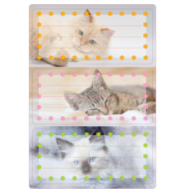 Buchschild Katzen 76x35 mm 6 St.