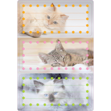 Buchschild Katzen 76x35 mm 6 St.