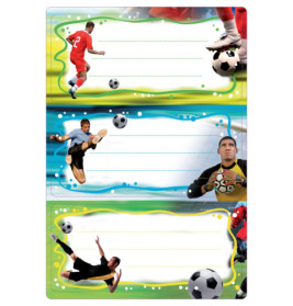 Buchschild Fußball 76x35 6 Stück