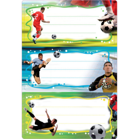 Buchschild Fußball 76x35 6 Stück