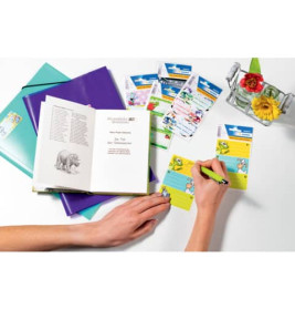 Buchschild Rennautos 76 x35 6 St.