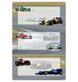 Buchschild Rennautos 76 x35 6 St.